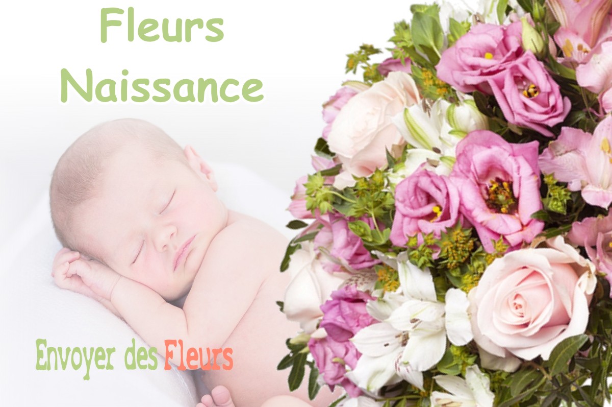 lIVRAISON FLEURS NAISSANCE à CASTELLAR